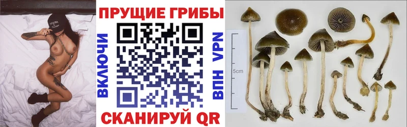 Псилоцибиновые грибы Psilocybine cubensis  МЕГА ONION  Нефтеюганск 